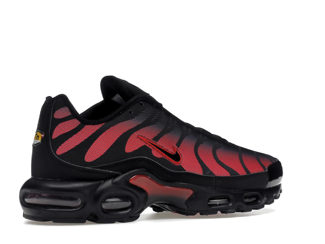 Nike Air Max Plus Bred Reflective
