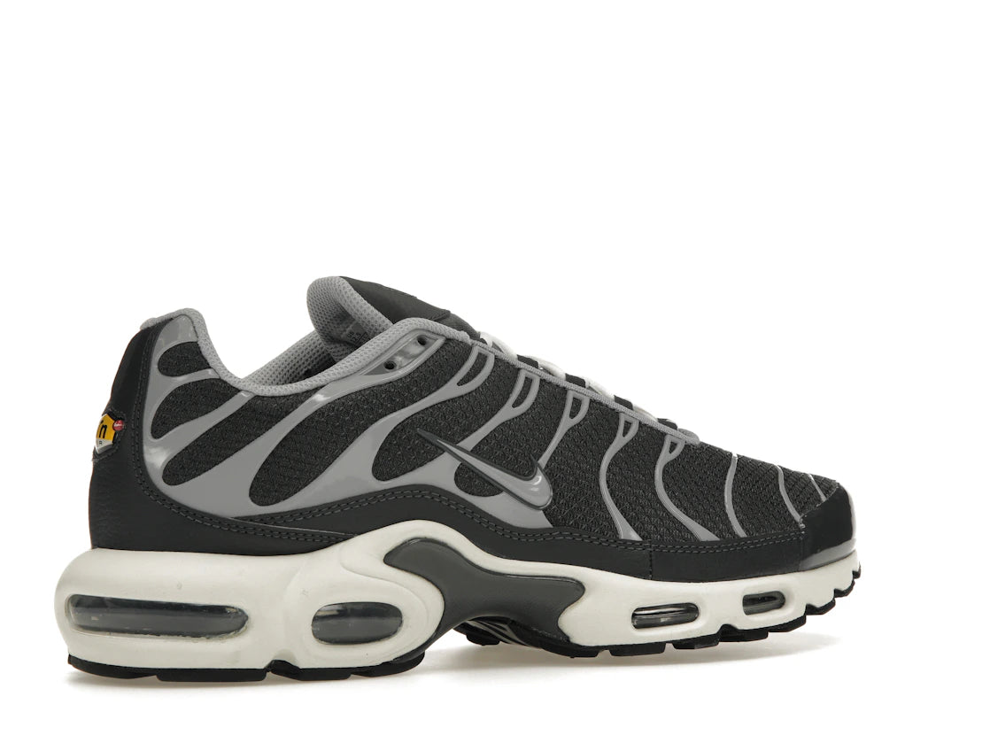 Nike Air Max Plus Greyscale Cool Grey