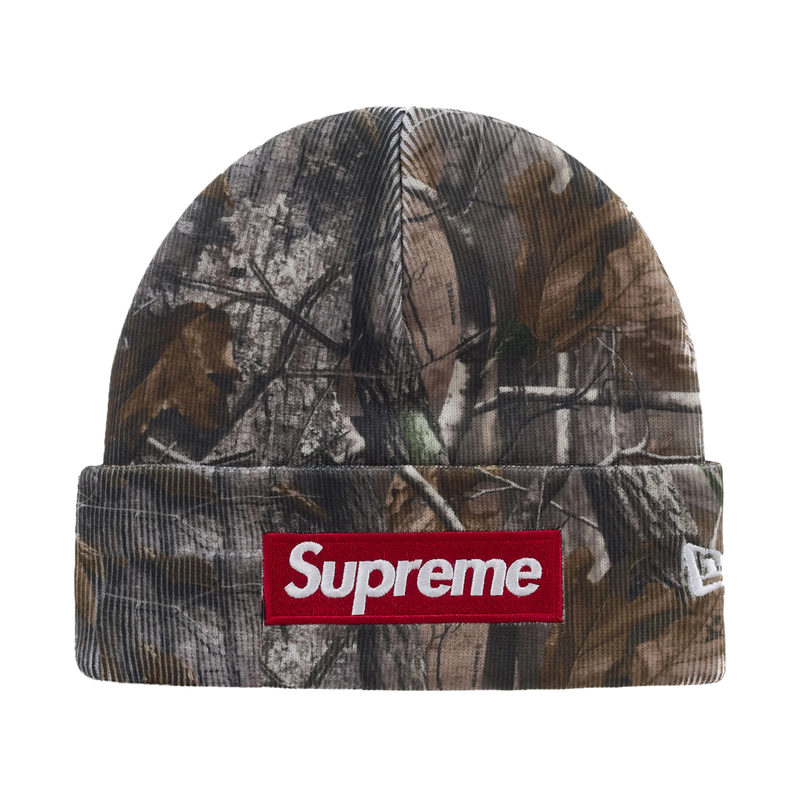 Supreme New Era Box Logo Beanie Realtree AP Camo