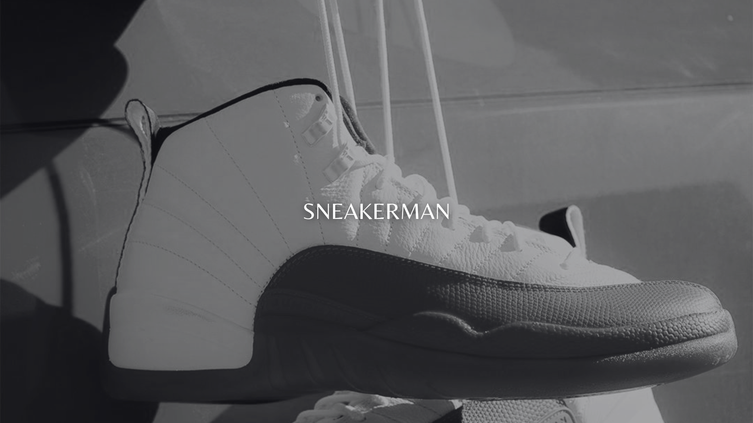 Air Jordan 12