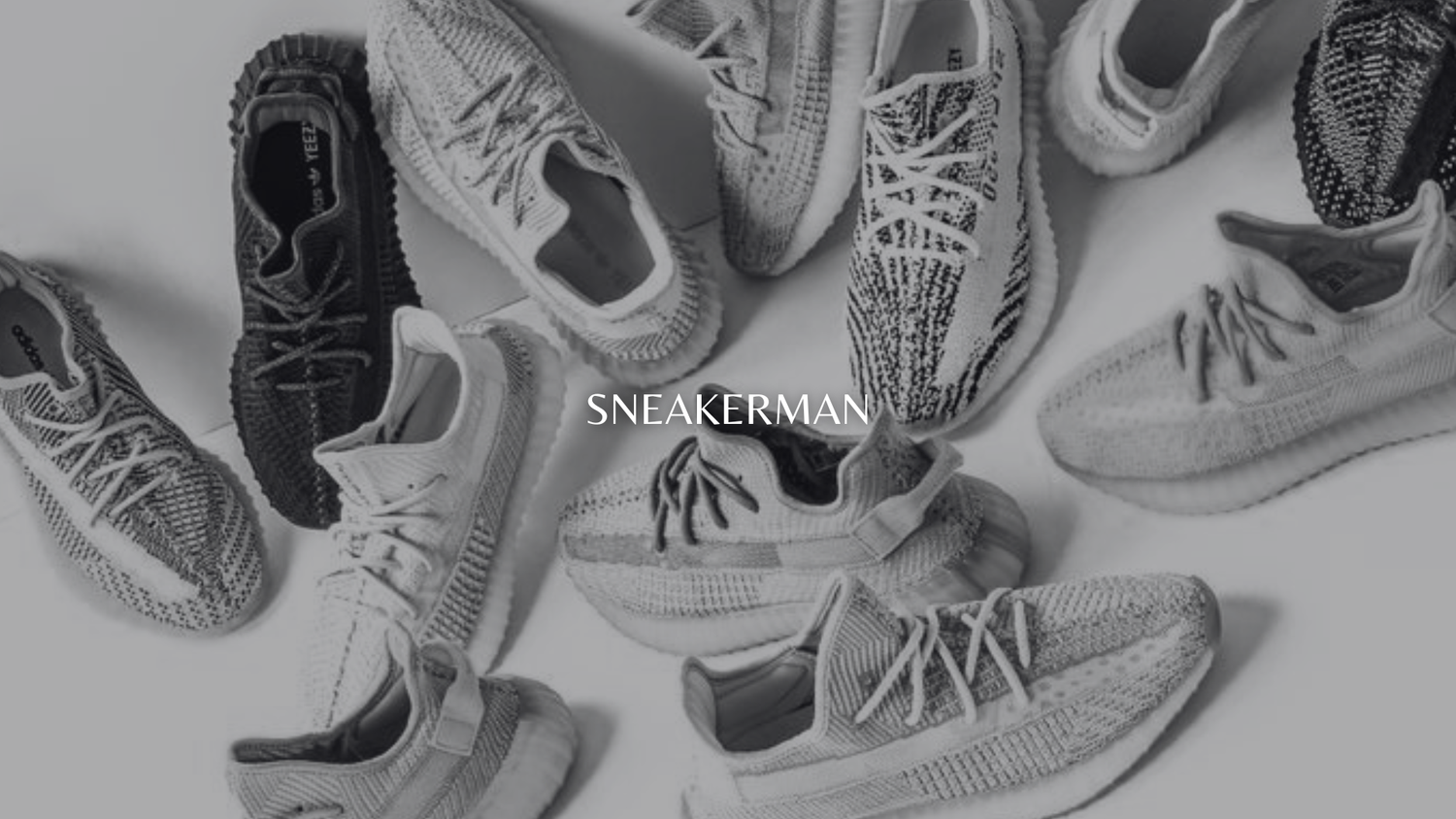 Yeezy boost 350 v2