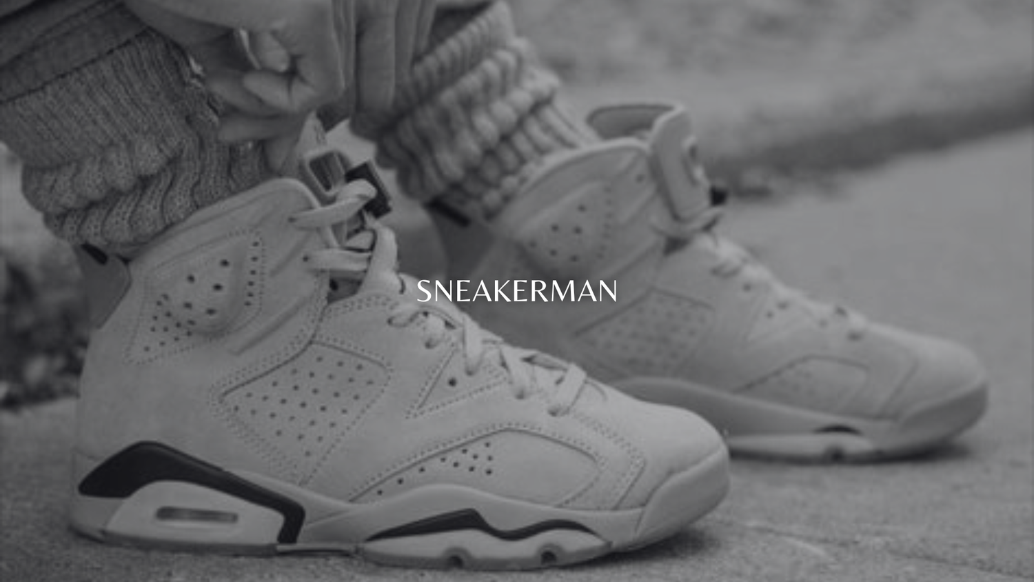 Air Jordan 6