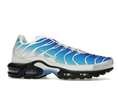 Nike Air Max Plus One Block Down Light Photo Blue
