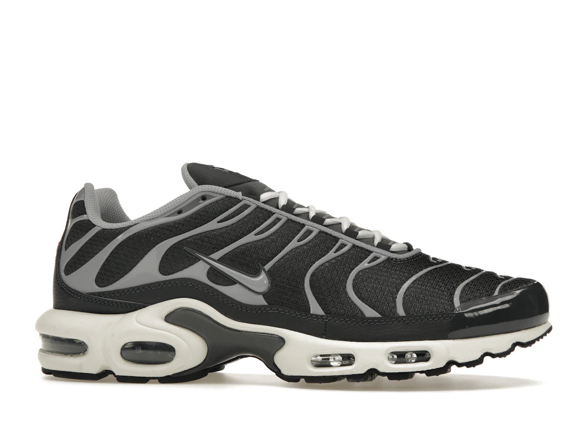 Nike Air Max Plus Greyscale Cool Grey