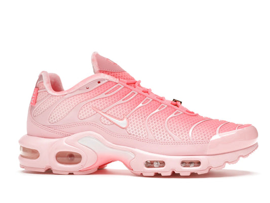 Nike Air Max Plus City Special ATL