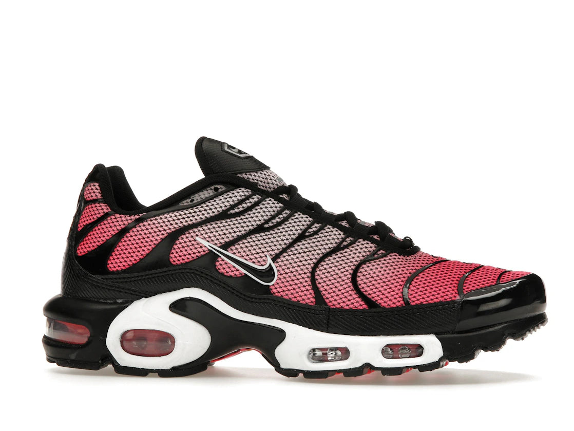 Nike Air Max Plus All Day