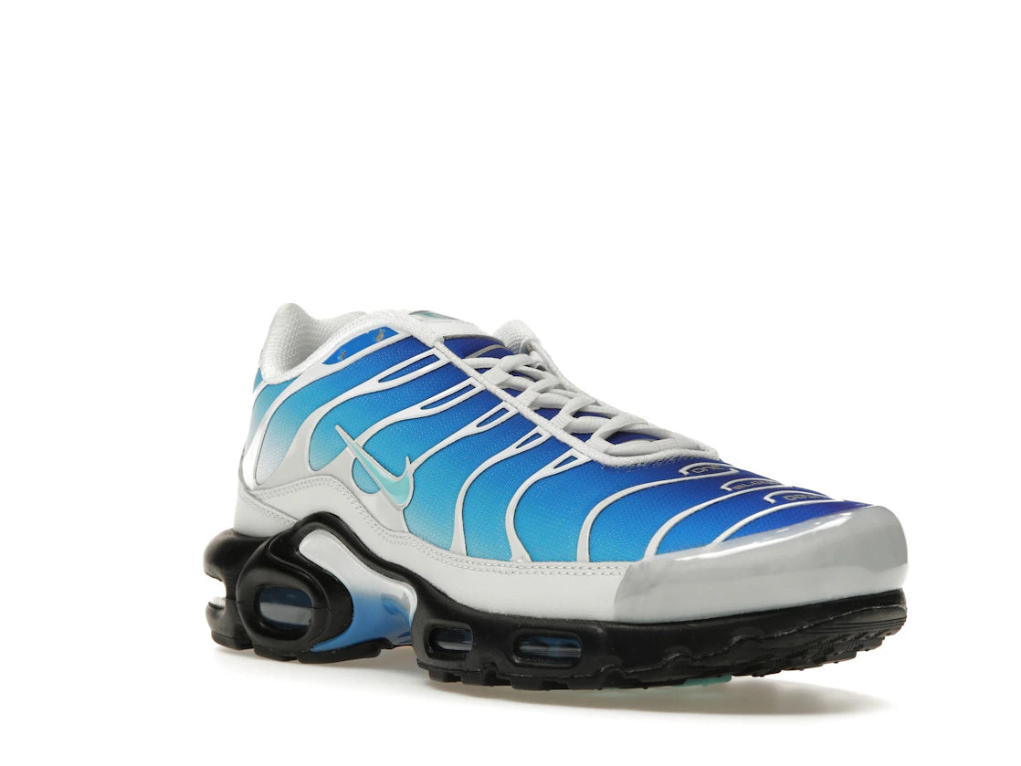 Nike Air Max Plus One Block Down Light Photo Blue
