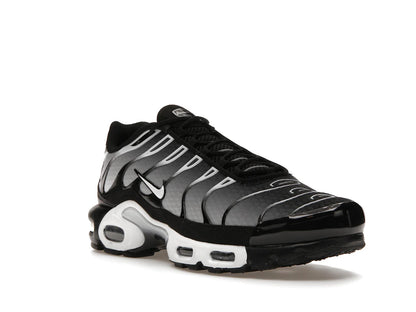 Nike Air Max Plus Black Silver White