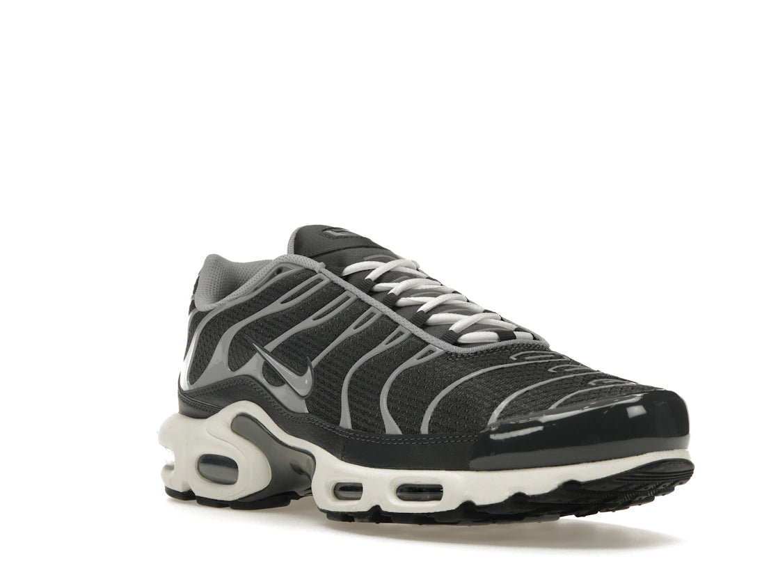 Nike Air Max Plus Greyscale Cool Grey