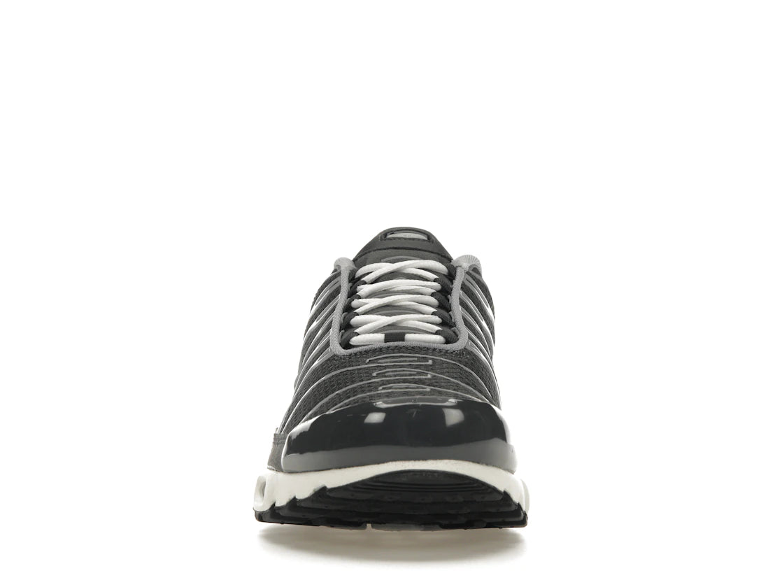 Nike Air Max Plus Greyscale Cool Grey