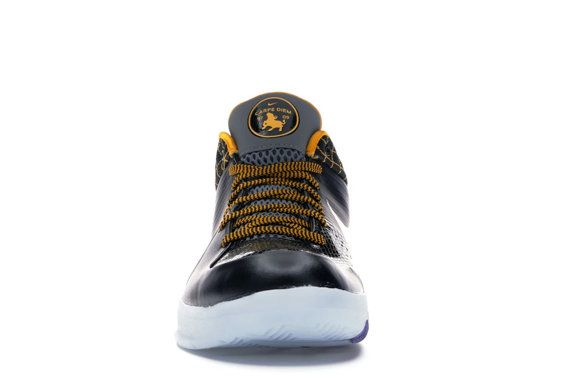 Nike Kobe 4 Protro Carpe Diem
