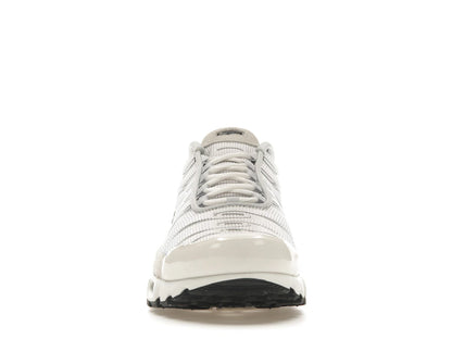 Nike Air Max Plus Sail Pure Platinum Silver