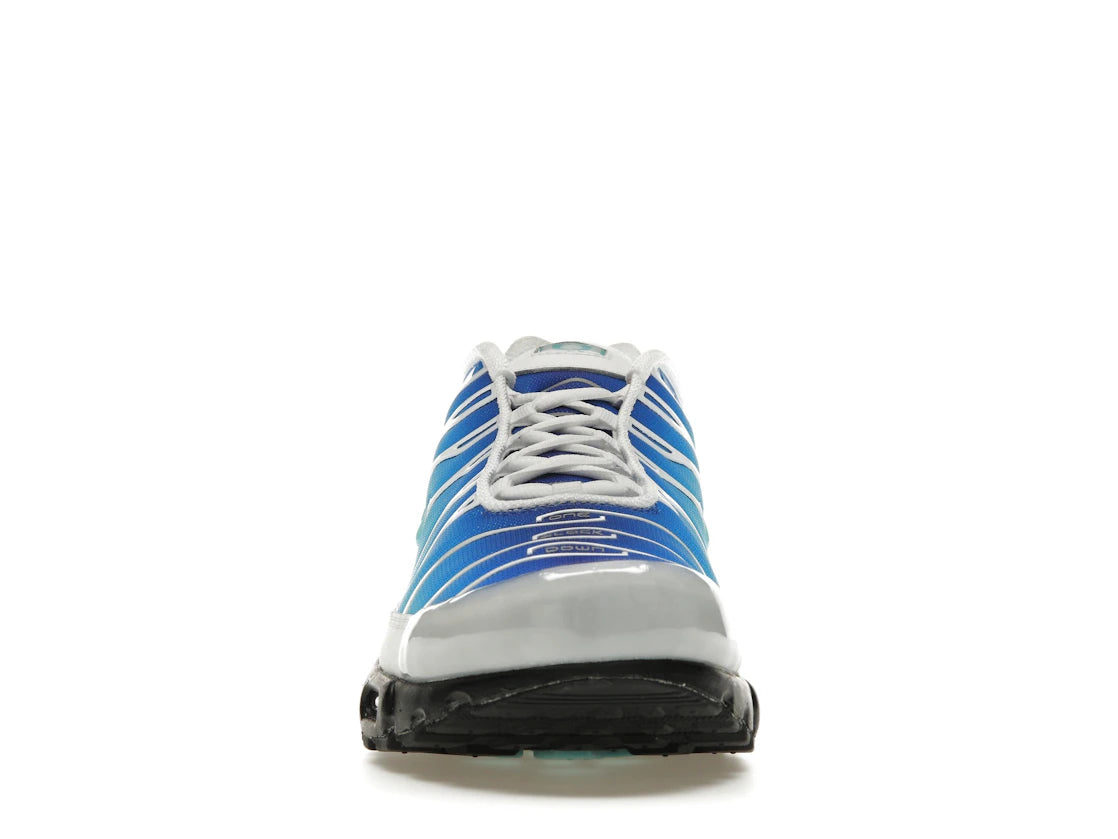 Nike Air Max Plus One Block Down Light Photo Blue