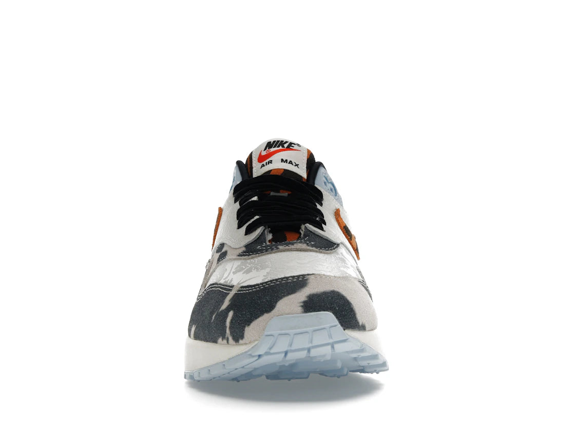 Nike Air Max 1 '87 Great Indoors