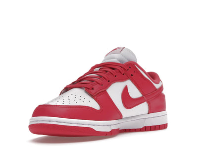 Nike Dunk Low Archeo Pink