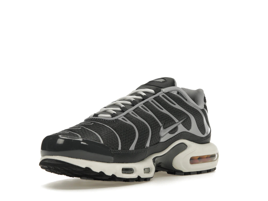 Nike Air Max Plus Greyscale Cool Grey