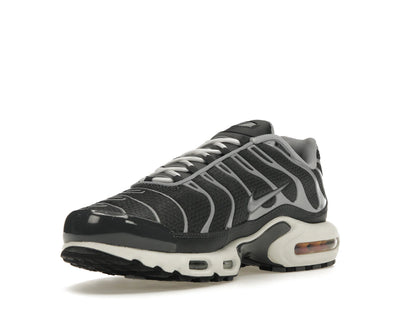 Nike Air Max Plus Greyscale Cool Grey