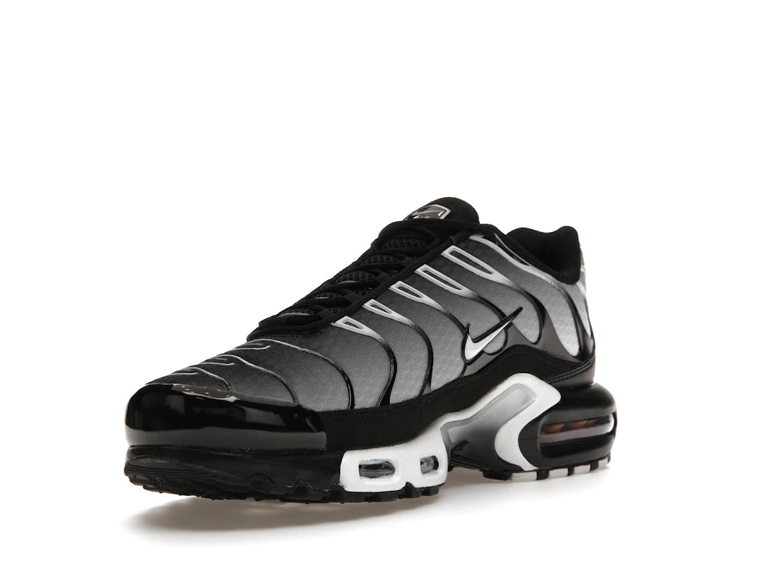 Nike Air Max Plus Black Silver White