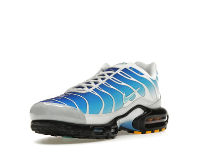Nike Air Max Plus One Block Down Light Photo Blue