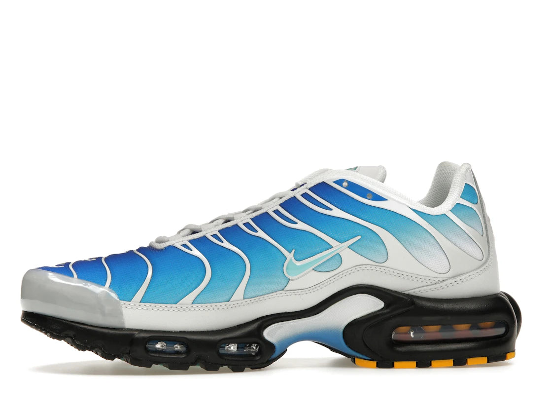 Nike Air Max Plus One Block Down Light Photo Blue