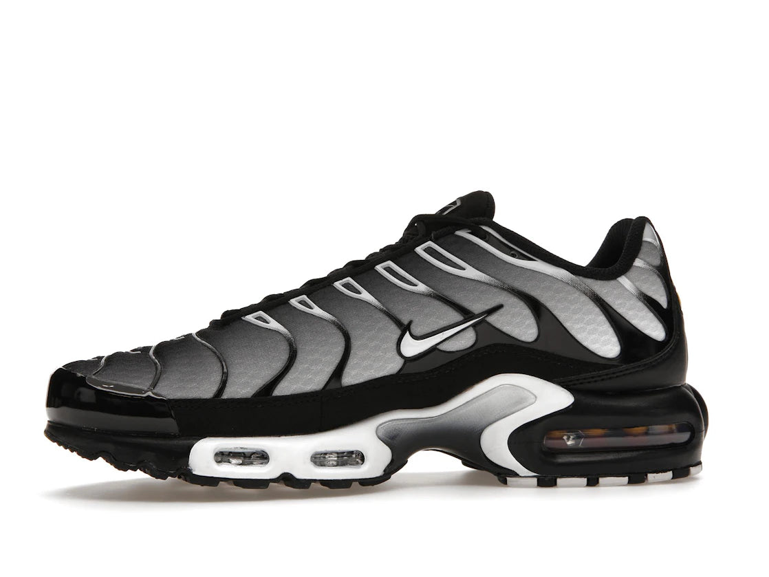 Nike Air Max Plus Black Silver White