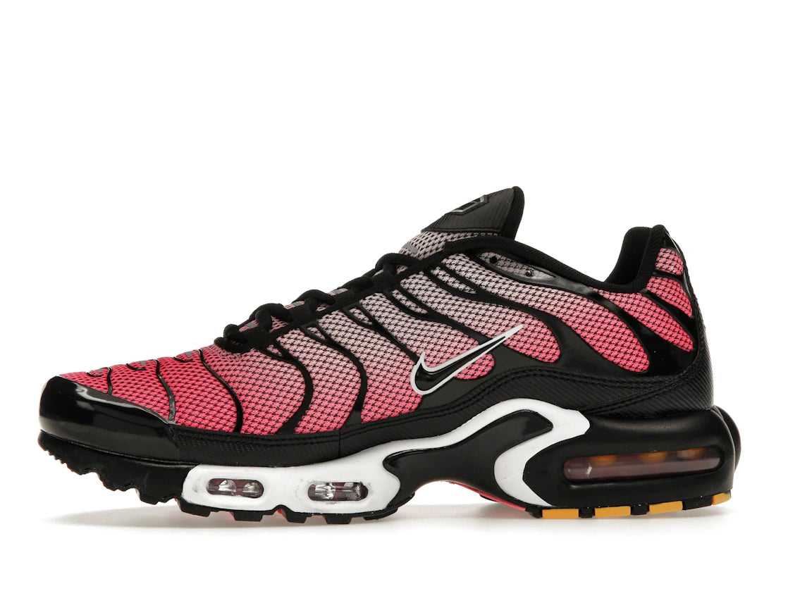 Nike Air Max Plus All Day