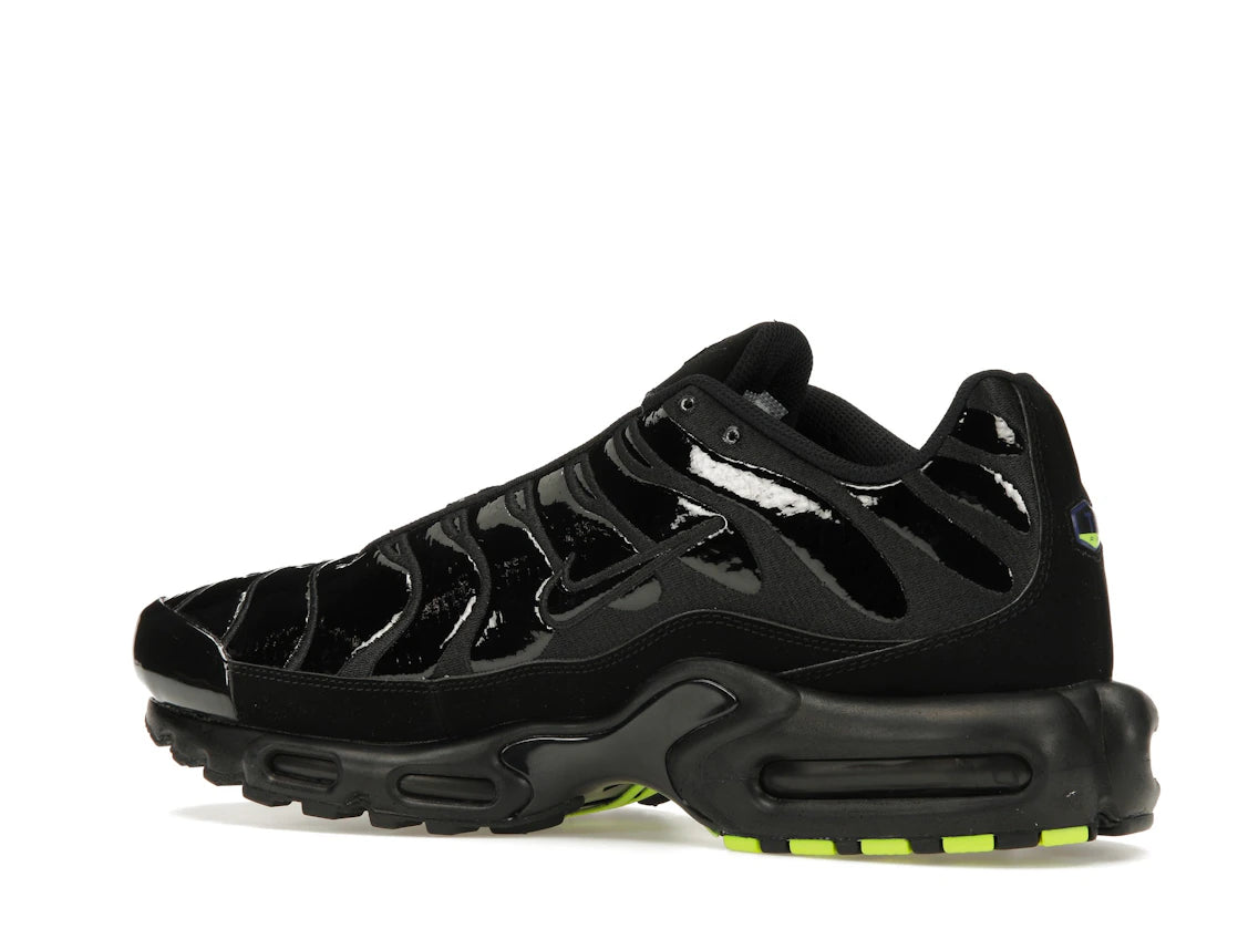 Nike Air Max Plus Black Chrome