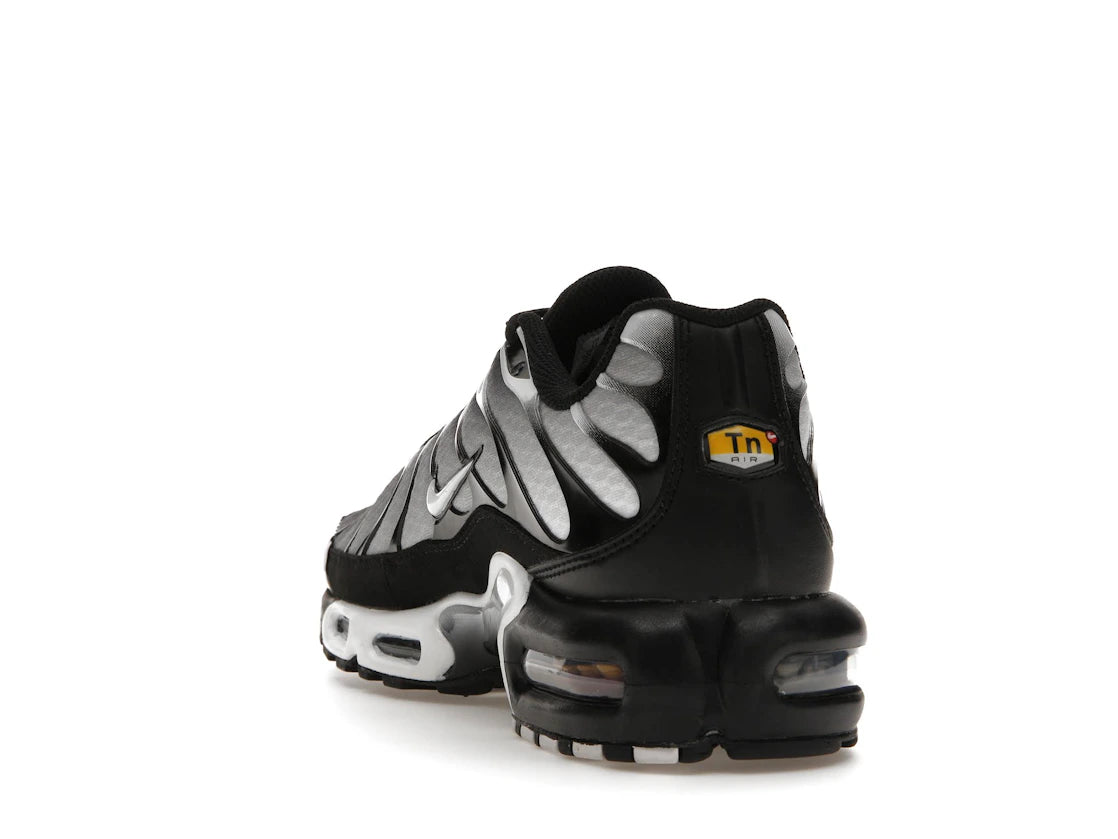 Nike Air Max Plus Black Silver White