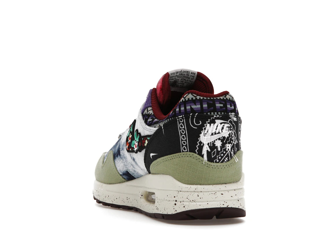 Nike Air Max 1 SP Concepts Mellow