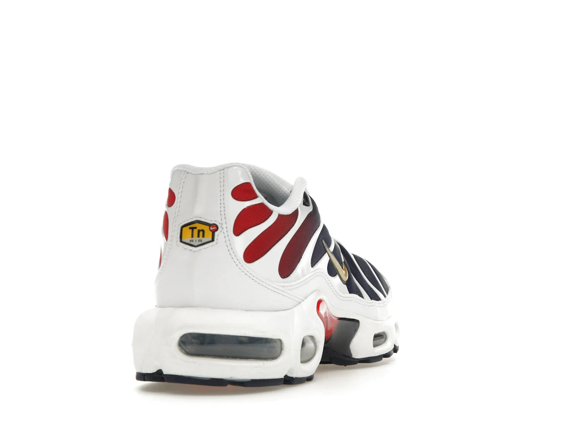 Nike Air Max Plus PSG