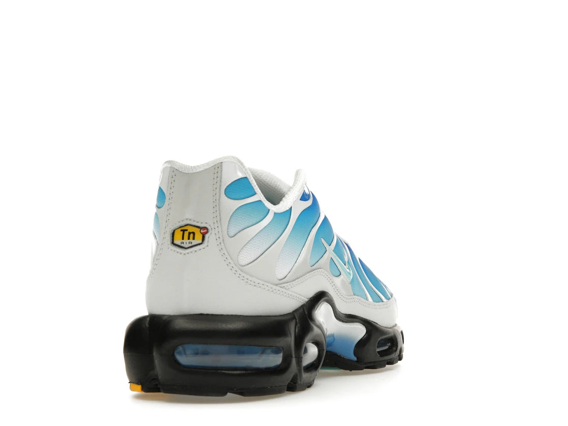 Nike Air Max Plus One Block Down Light Photo Blue