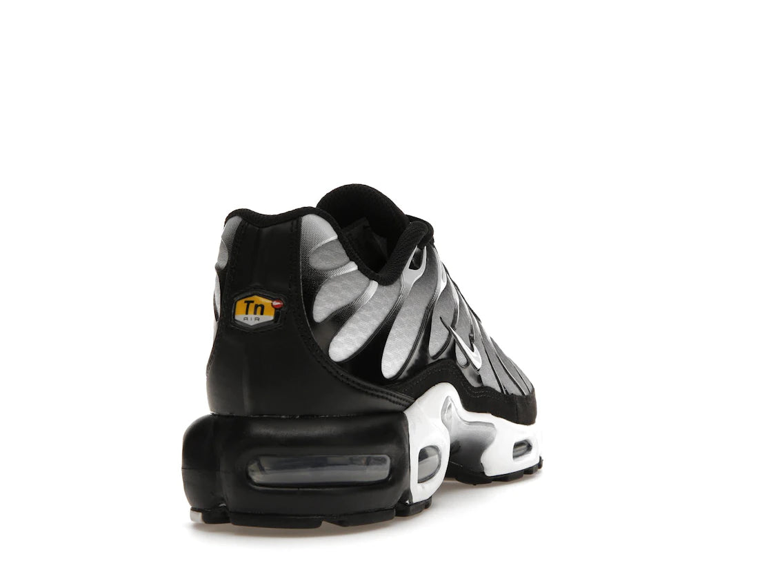 Nike Air Max Plus Black Silver White