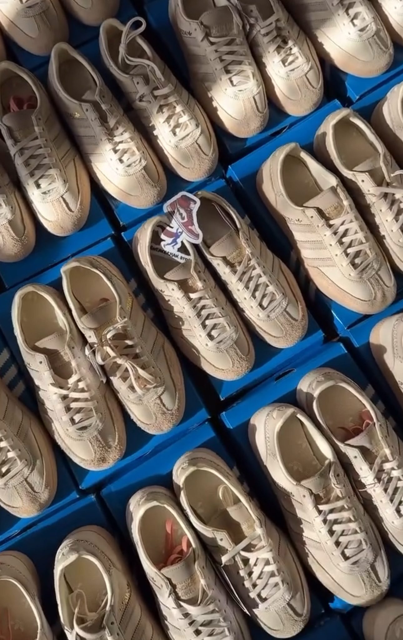 adidas Samba vs Gazelle: Który model wybrać? Porównanie legend