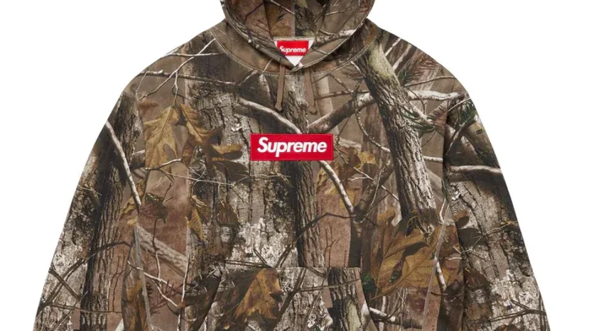 imgi_1_SW14_FW25_BoxLogoHooded